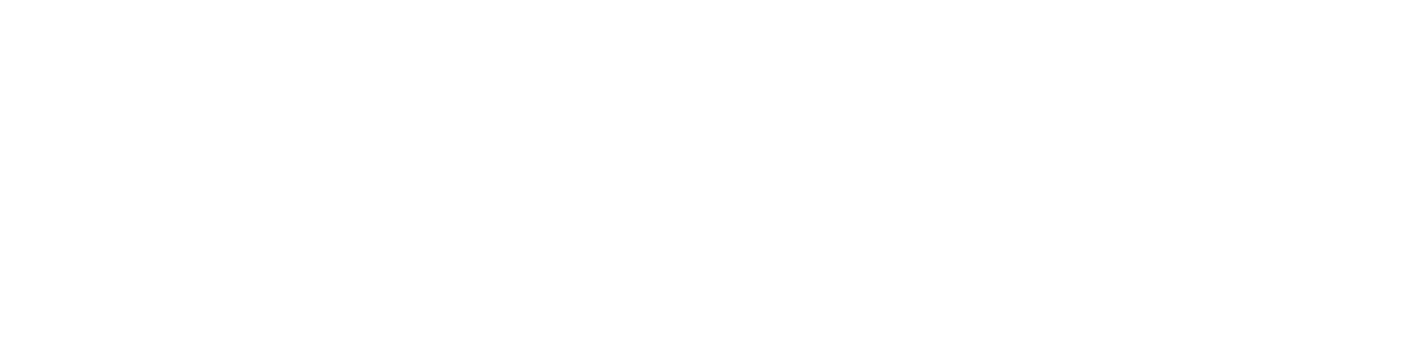 Logo E-boutique Mercedes Vans